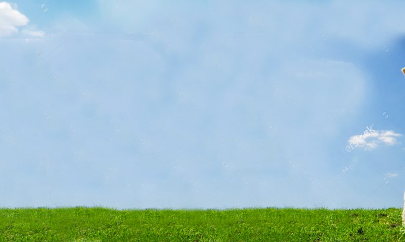Organic Land to Rent Organic Land to Rent