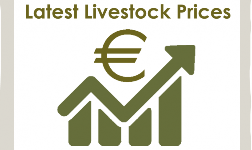 Organic Livestock Prices from Drumshanbo Mart 20th May 2017 Organic Livestock Prices from Drumshanbo Mart 20th May 2017