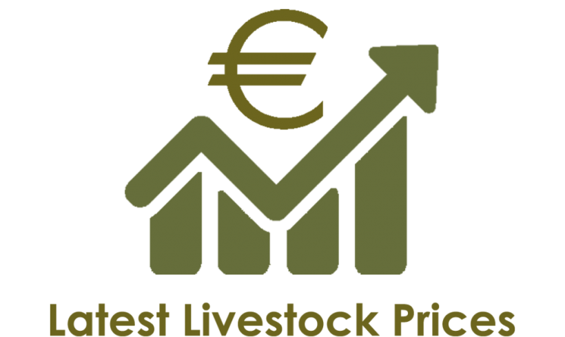 ORGANIC LIVESTOCK PRICES FROM DRUMSHANBO MART APRIL 22ND ORGANIC LIVESTOCK PRICES FROM DRUMSHANBO MART APRIL 22ND