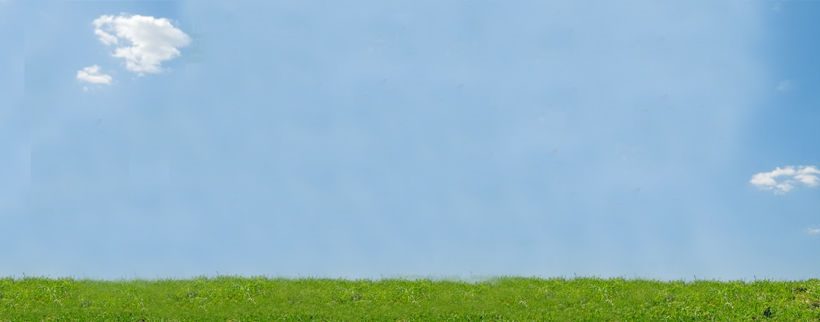 Grazing Land to Let in Westmeath Grazing Land to Let in Westmeath