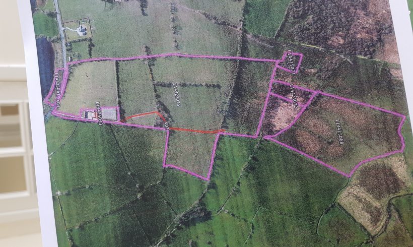 Organic Farm to rent or Lease